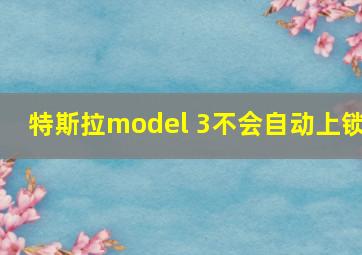 特斯拉model 3不会自动上锁